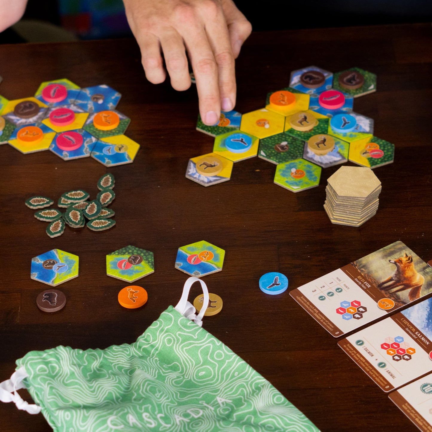 AEG & Flatout Games Cascadia – Award-Winning Pacific Northwest Board Game | Easy to Learn | Ages 10+