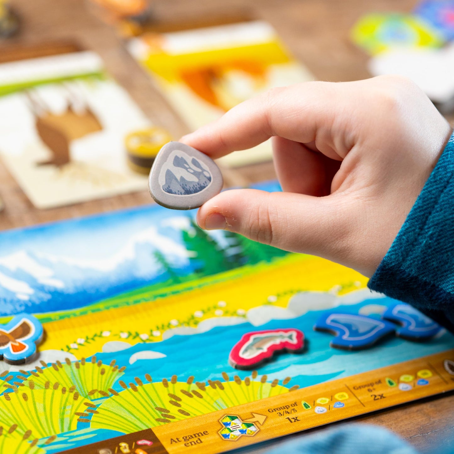 AEG & Flatout Games Cascadia Junior — Quick, Family-Friendly Pattern Puzzle for 2-4 Players (Ages 6+)