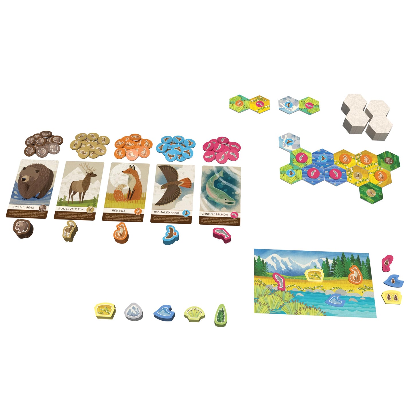 AEG & Flatout Games Cascadia Junior — Quick, Family-Friendly Pattern Puzzle for 2-4 Players (Ages 6+)