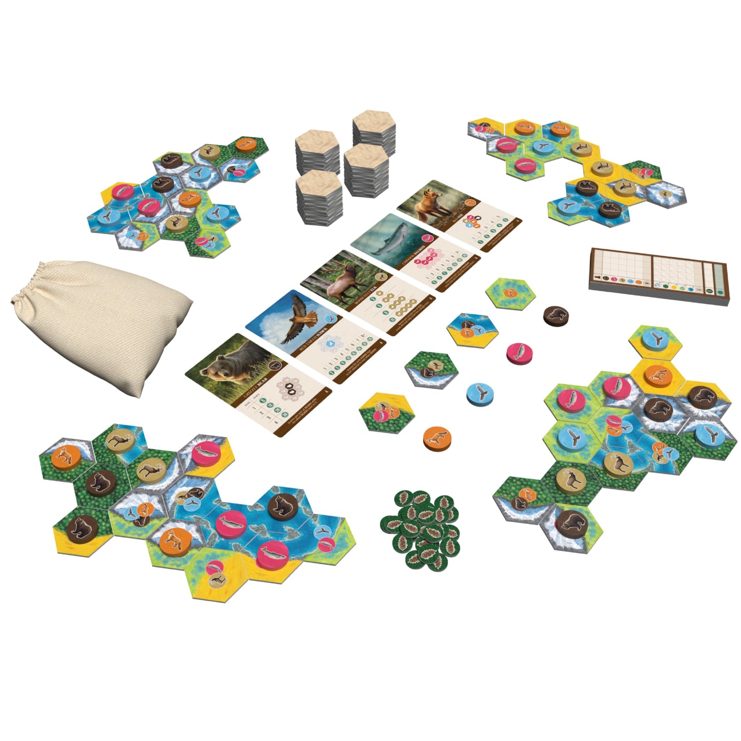 AEG & Flatout Games Cascadia – Award-Winning Pacific Northwest Board Game | Easy to Learn | Ages 10+