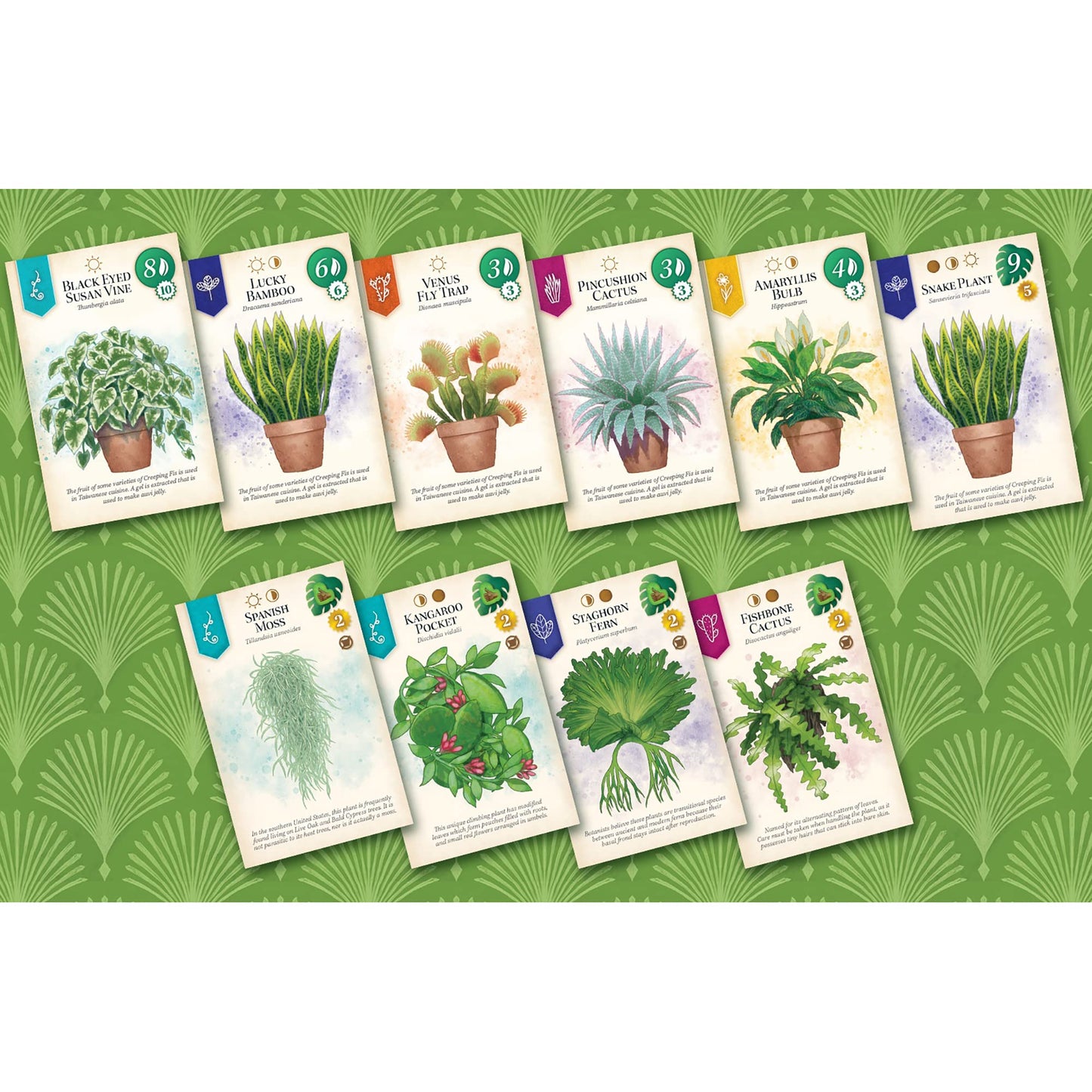 Verdant by AEG & Flatout Games | Cozy Houseplant Board Game for 1–5 Players