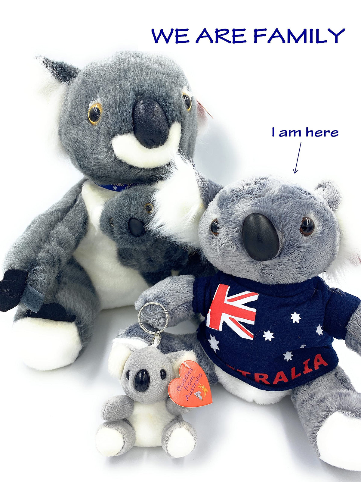 Aeisage Koala Stuffed Animal – 8-Inch Plush Koala with T-Shirt | Soft Australian Souvenir Gift
