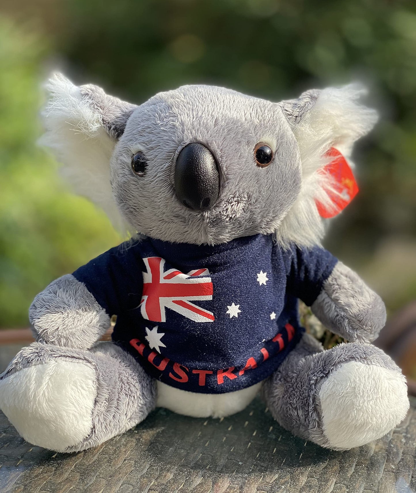 Aeisage Koala Stuffed Animal - 6-Inch Plush Koala with T-Shirt