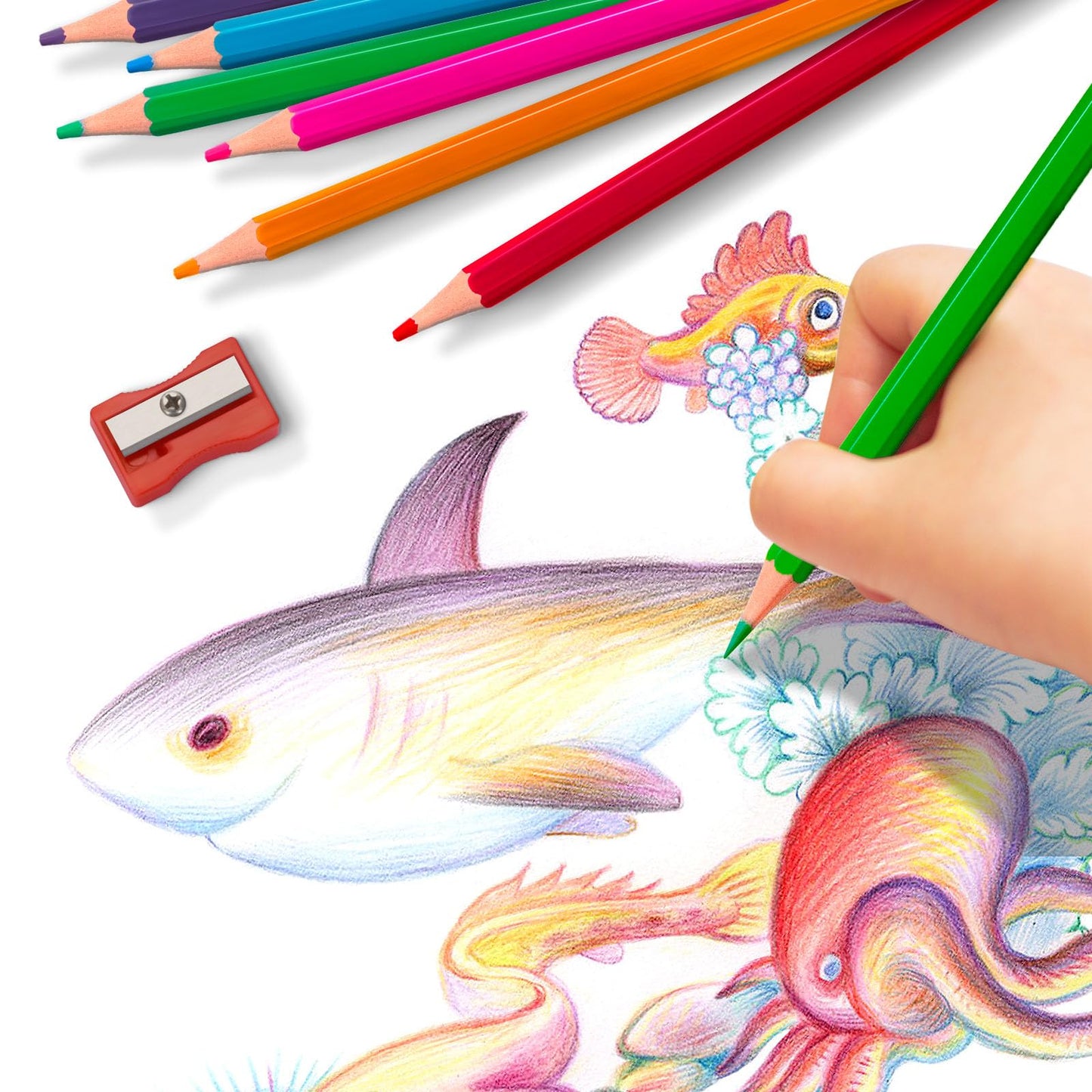Aigybobo 240-Count Colored Pencils Bulk Set — 12 Vibrant Colors + 24 Sharpeners