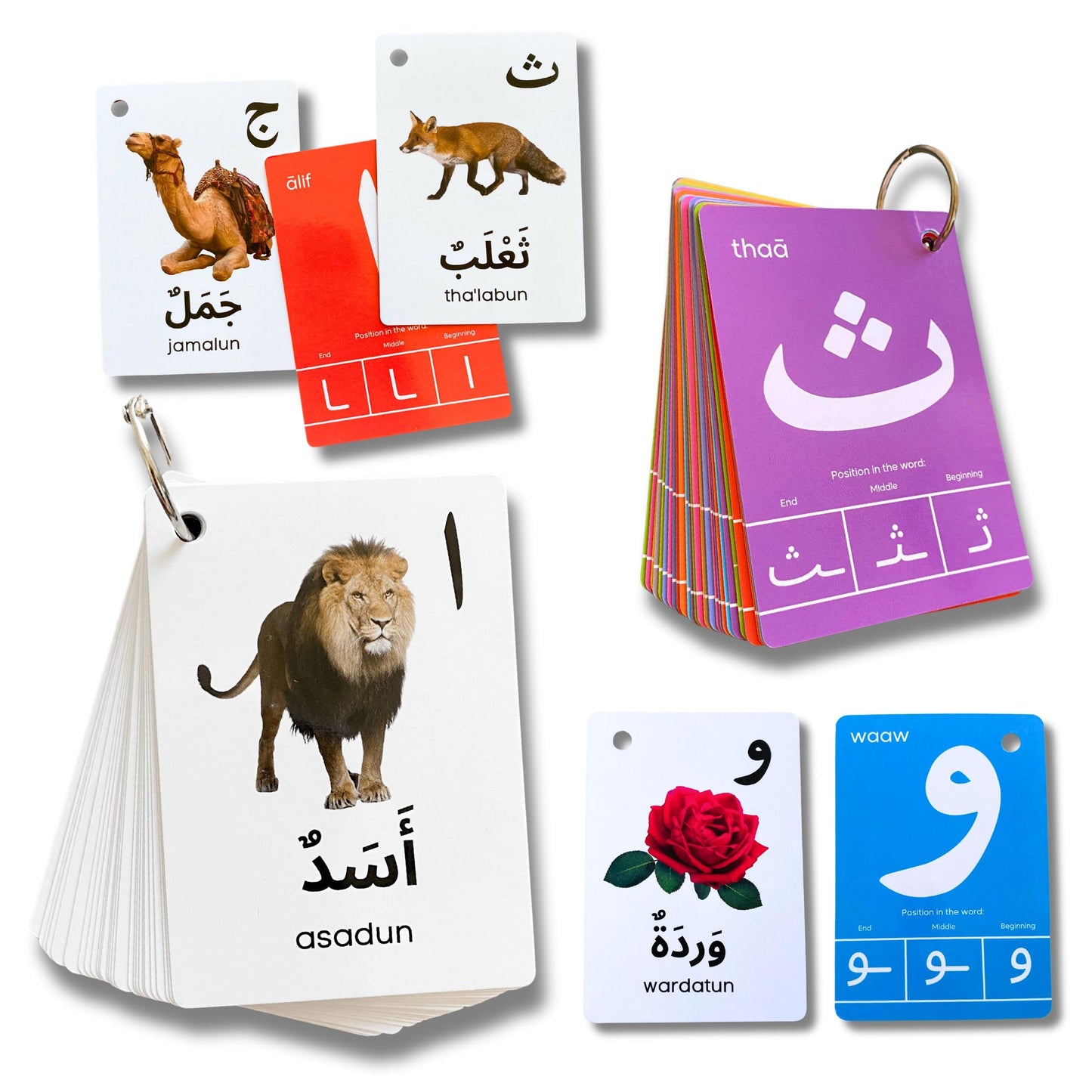 Albidaya Arabic Alphabet Flash Cards for Kids – Letter Recognition & First Words
