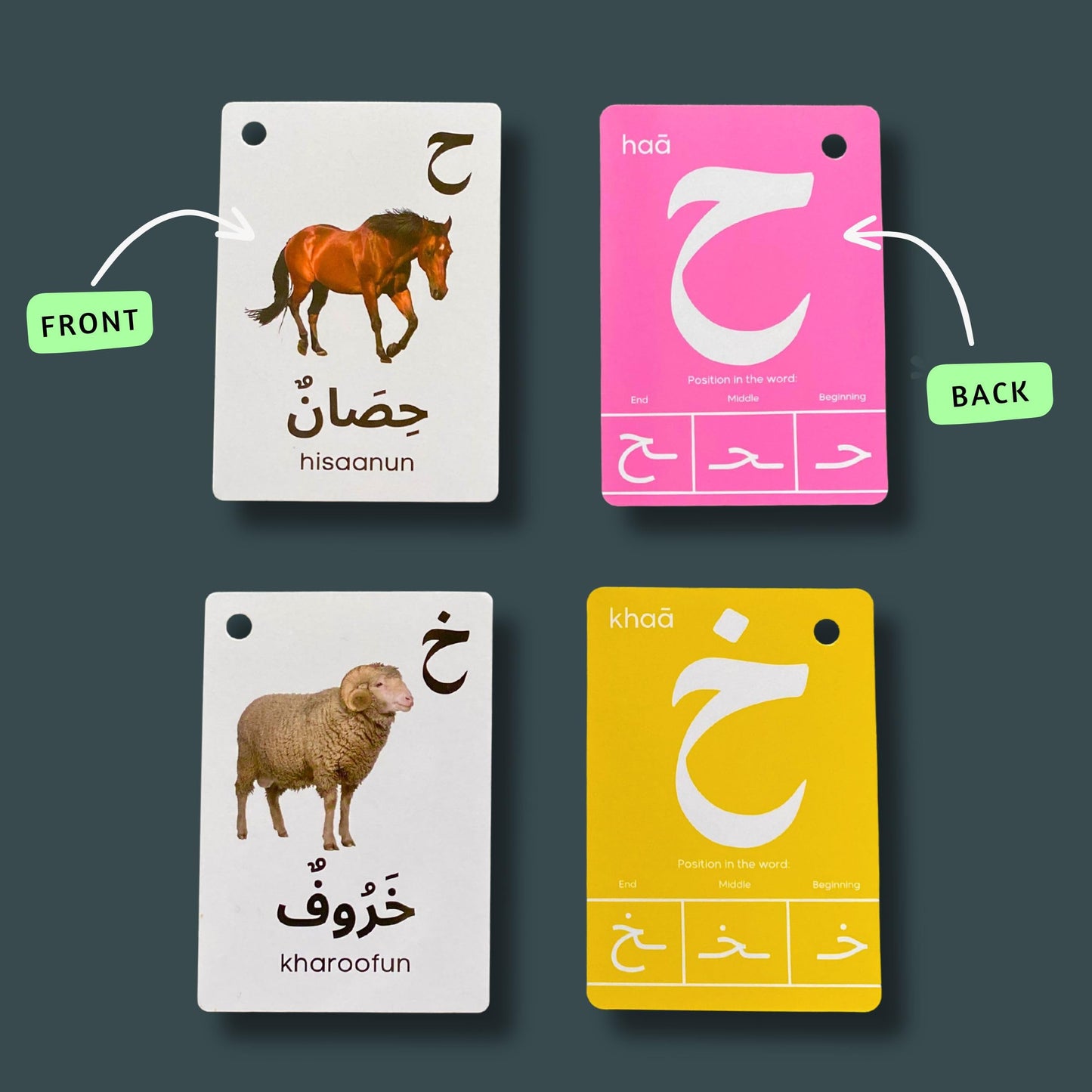 Albidaya Arabic Alphabet Flash Cards for Kids – Letter Recognition & First Words