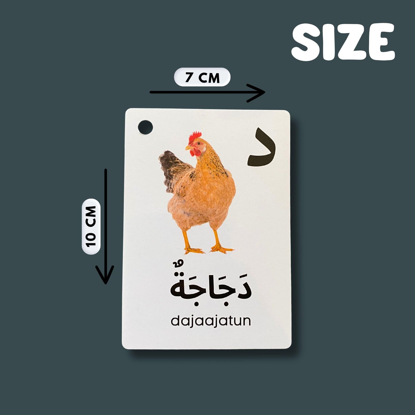 Albidaya Arabic Alphabet Flash Cards for Kids – Letter Recognition & First Words