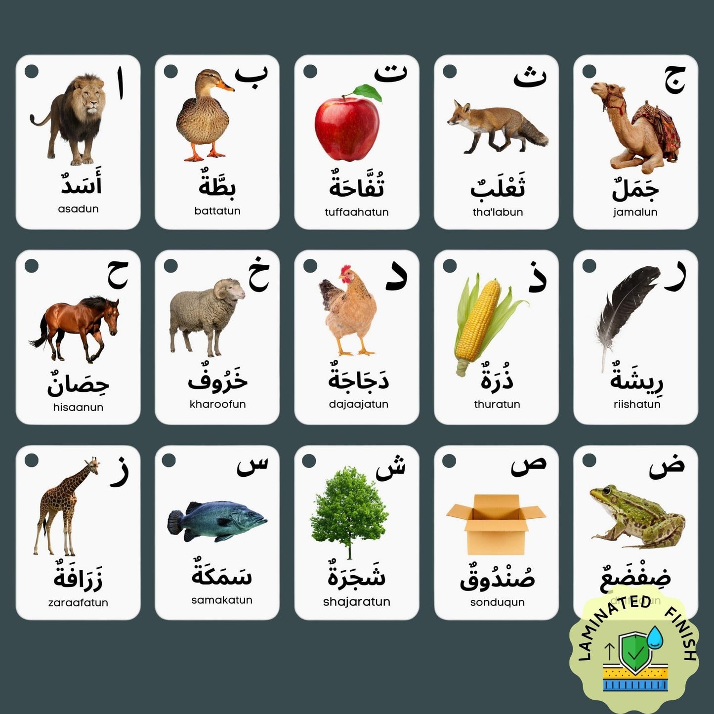 Albidaya Arabic Alphabet Flash Cards for Kids – Letter Recognition & First Words