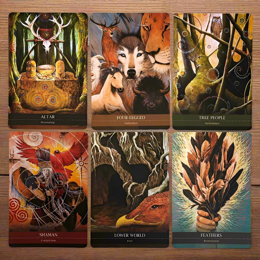 Shamanic Medicine Oracle Cards by Barabara Meiklejohn