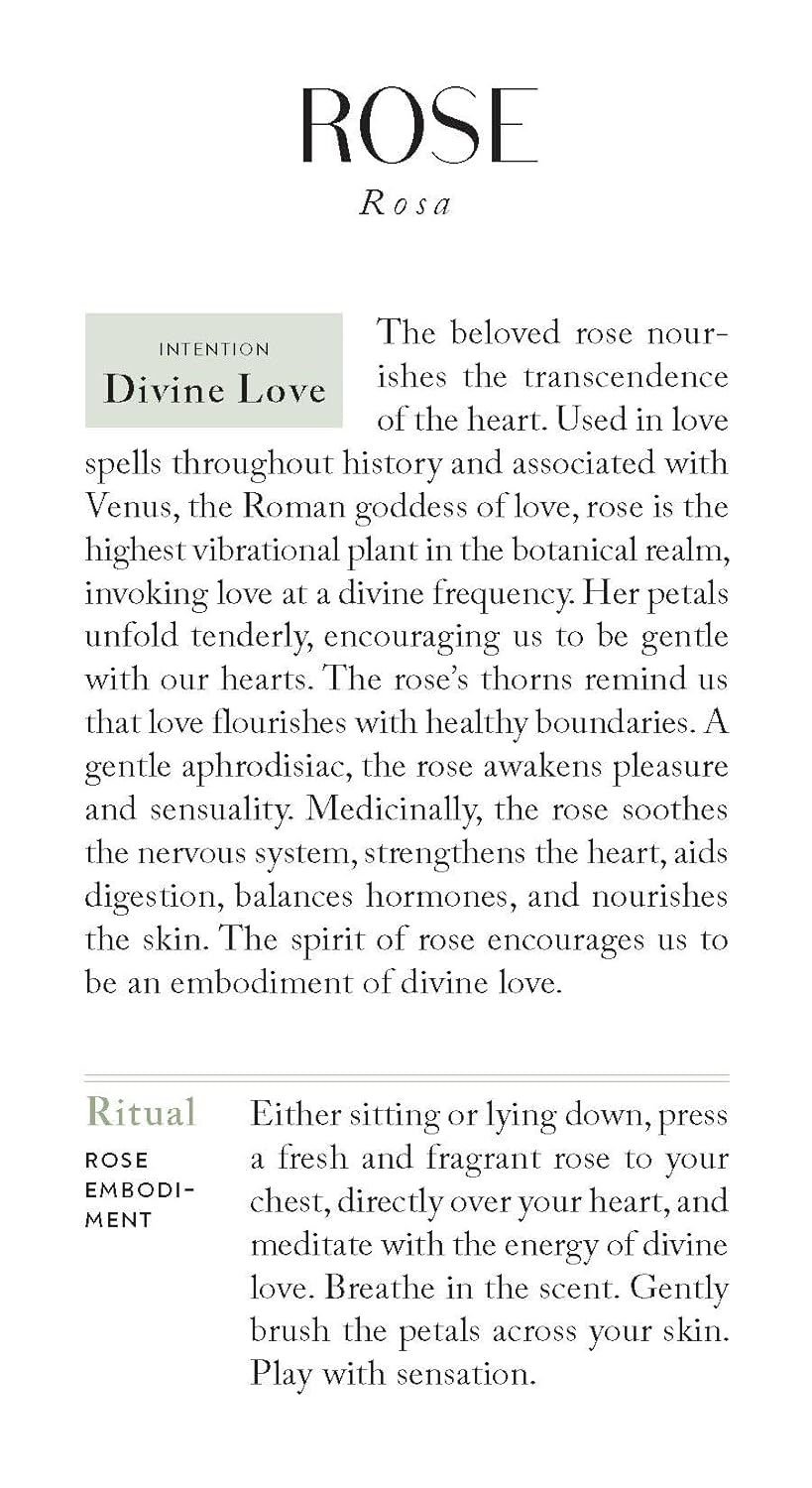 Botanicals Deck: 70 Plants and Flowers  to Enhance Your Life