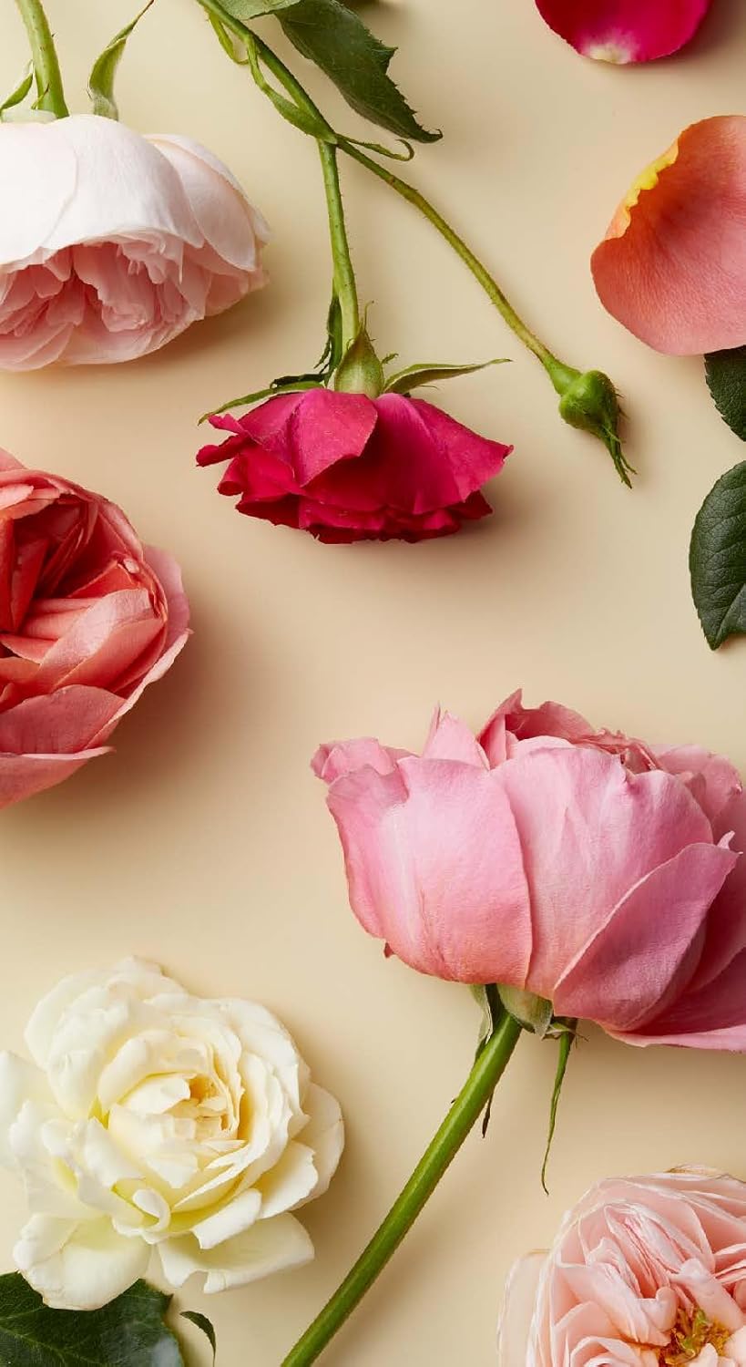 Botanicals Deck: 70 Plants and Flowers  to Enhance Your Life