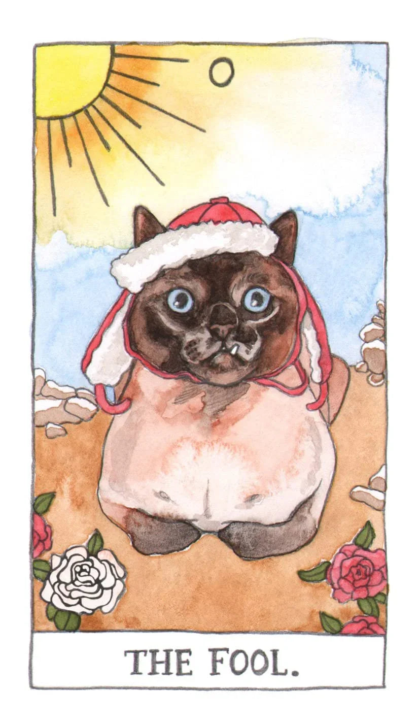 Cat Tarot: Guidebook and 78 Cards