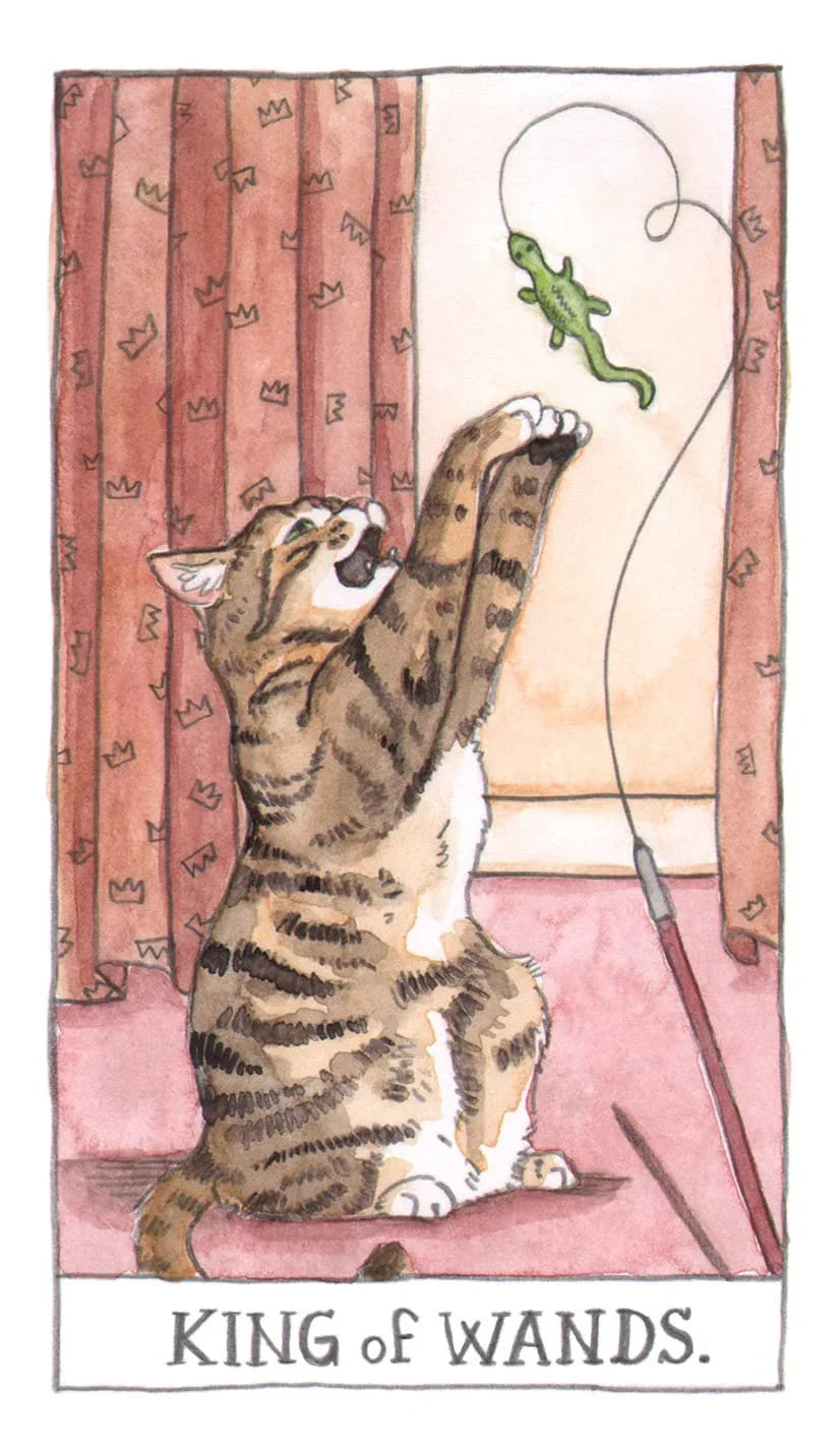 Cat Tarot: Guidebook and 78 Cards