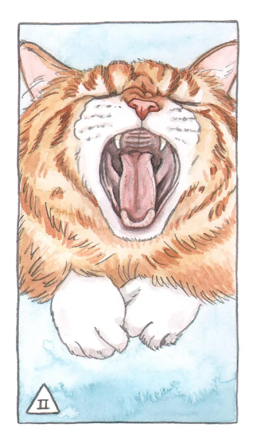 Cat Tarot: Guidebook and 78 Cards