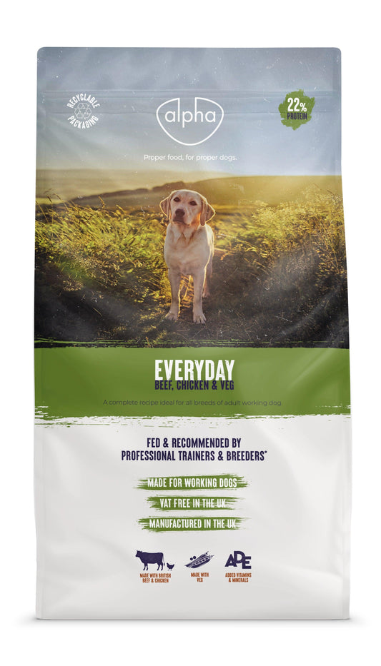 Alpha Adult Everyday Dog
