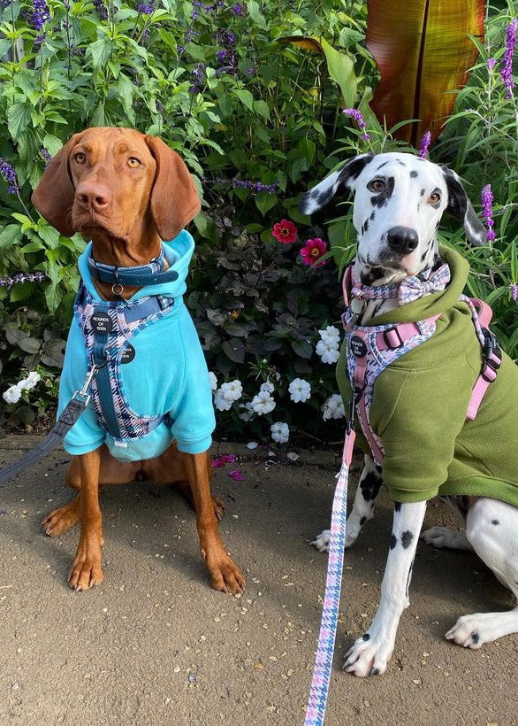 Dog Hoodie - Purple