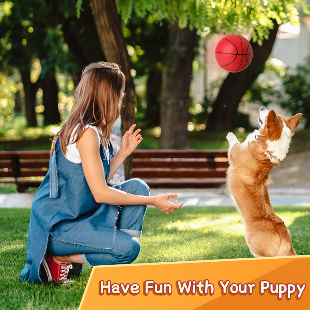 Amarlozn Mini Foam Basketball – 3-Pack Rainbow 5in Balls for Over-Door Hoops