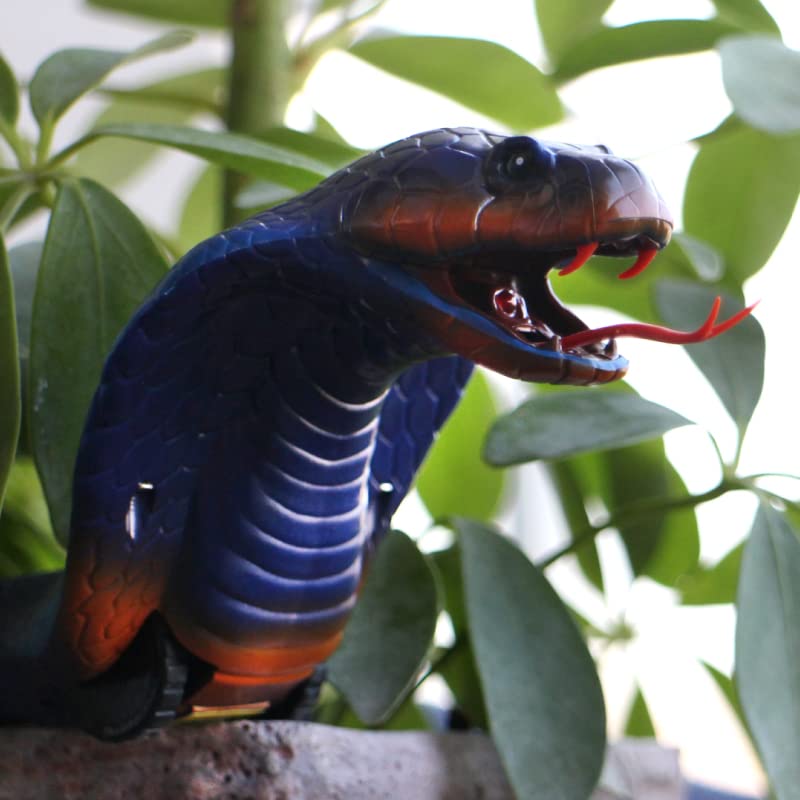 AMCHSURI Realistic RC Snakes - Rechargeable Blue Cobra Toy with Infrared Controller for Kids and Cats