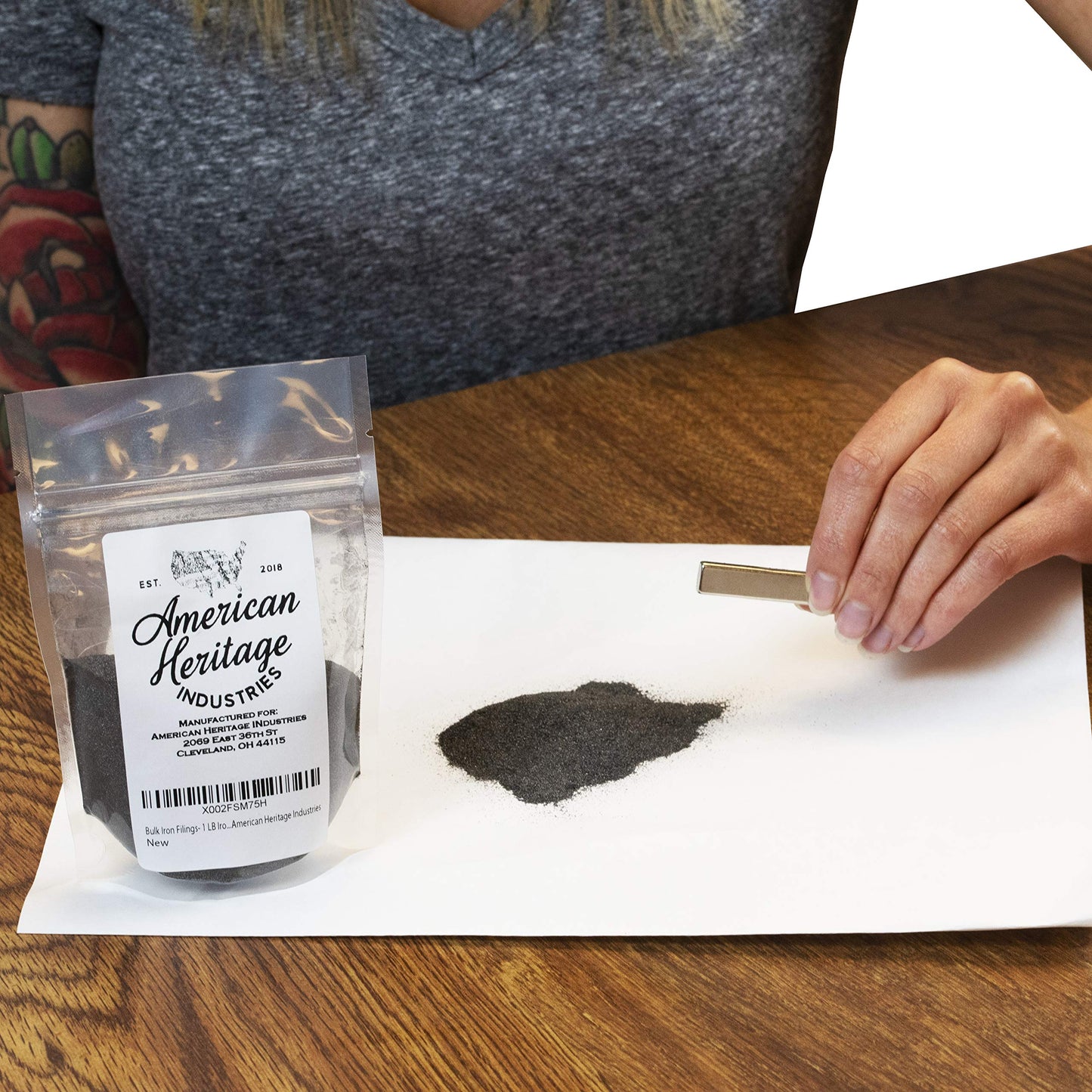 Bulk Iron Filings 1 lb for Magnetism Experiments | American Heritage Industries