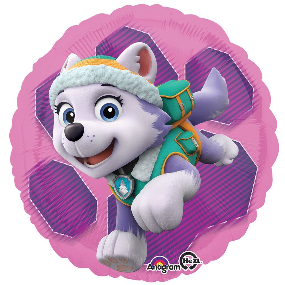 Amscan Paw Patrol Skye & Everest 18in Foil Balloon – 1 Per Package