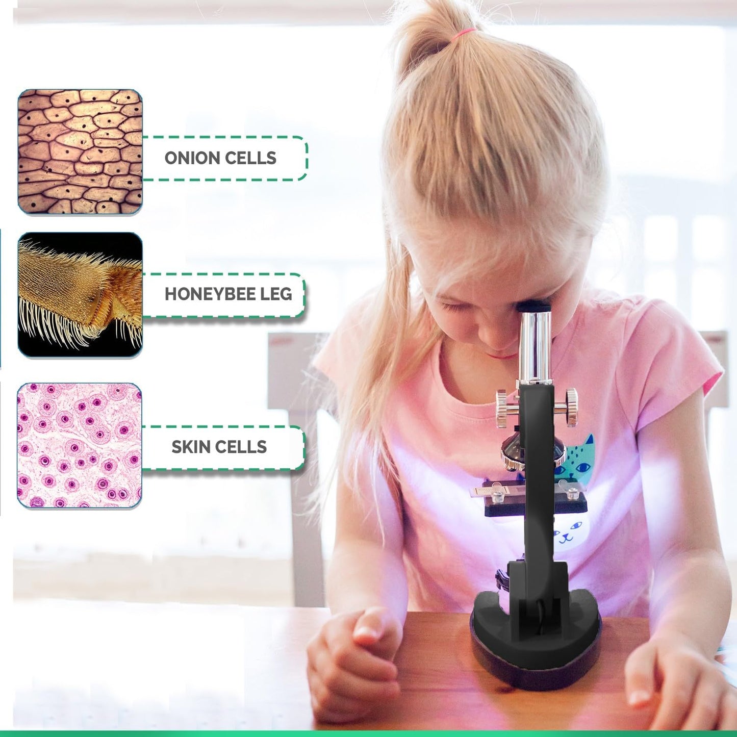 AmScope M30 Series 52-Piece STEM Microscope Kit for Kids | Portable Monocular Microscope