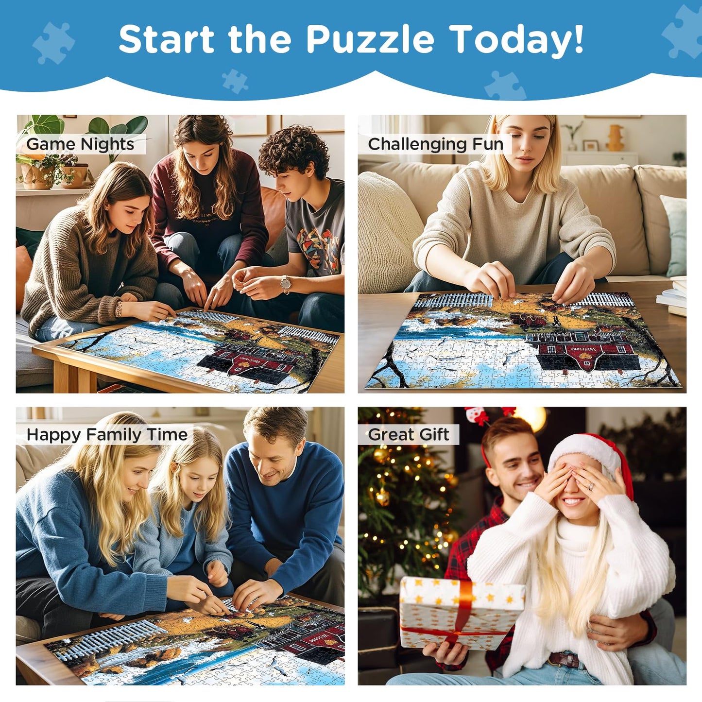 Amusding 500-Piece Jigsaw Puzzle: Seagull Carriage, Thick Cardboard, Vibrant & Challenging