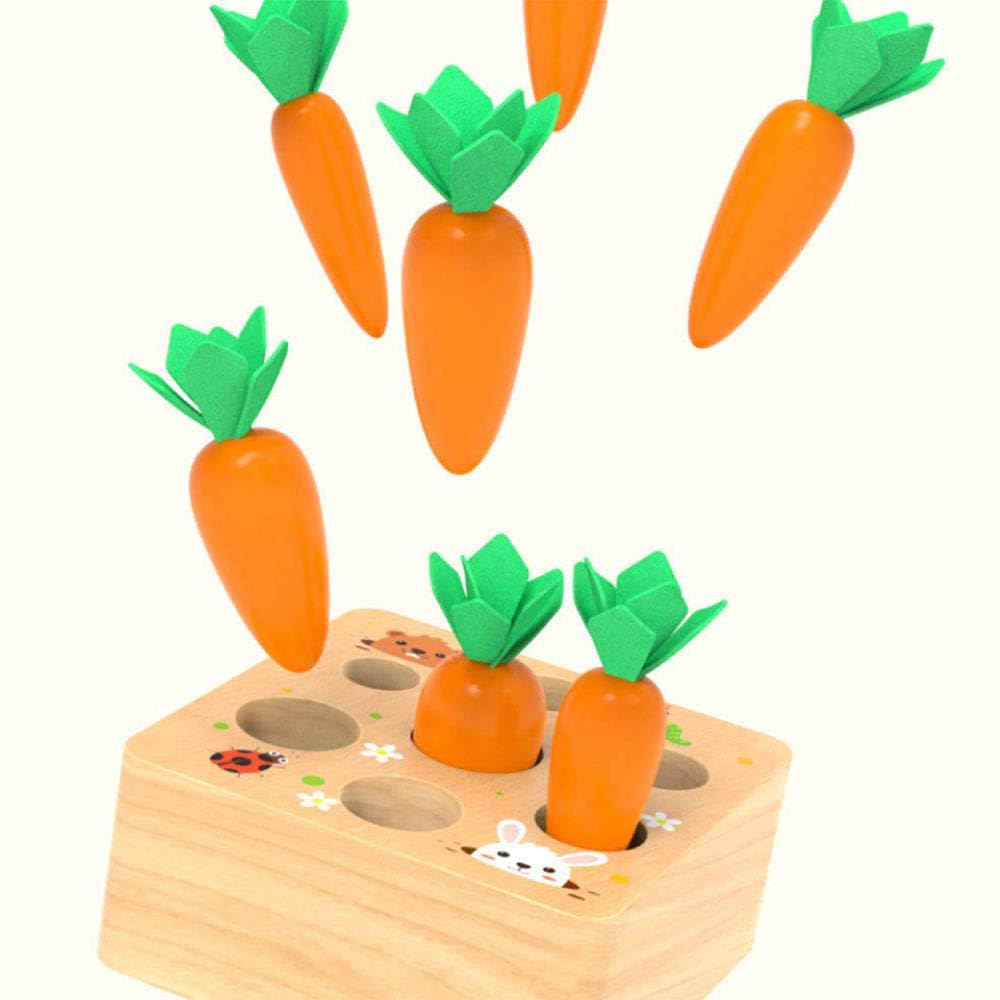 Ancaixin Montessori Wooden Toy for Babies 6-12 Months – Shape Sorting & Harvest