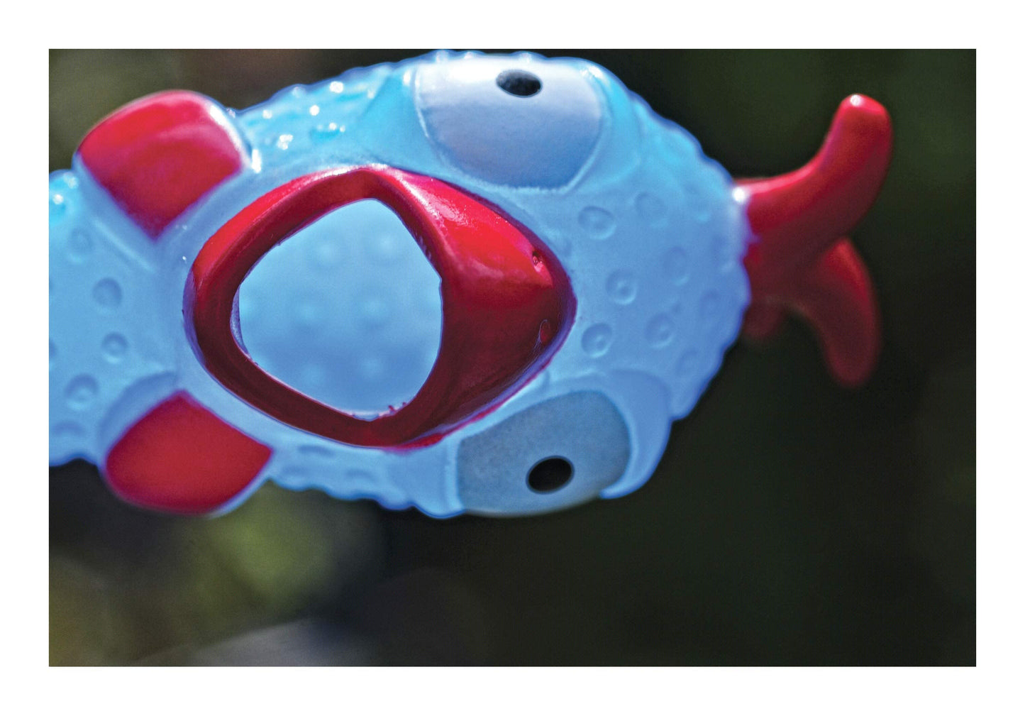Animolds Squeeze Me Rubber Chicken Toy – Glow-in-the-Dark Squeaky Prank for Kids & Dogs | 1 Pack