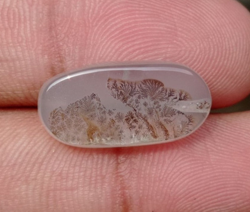 10.9ct Natural Dendritic Agate - Shajri Aqeeq -21x10x5mm