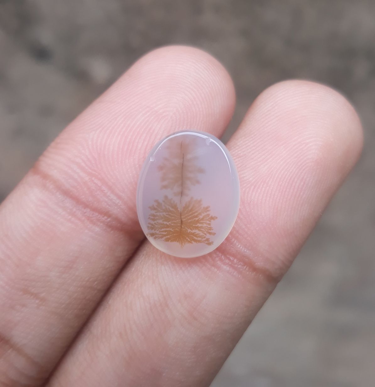 7.3ct Natural Dendritic Agate - Shajri Aqeeq -16x13x4mm