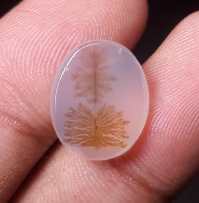 7.3ct Natural Dendritic Agate - Shajri Aqeeq -16x13x4mm