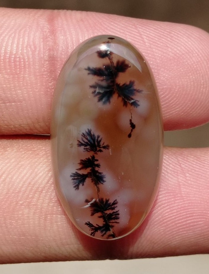 33.5ct Natural Dendritic Agate - Shajri Aqeeq -30x16x8mm