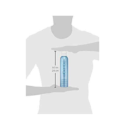AQUAGE Dry Shampoo Style Extending Spray – Oil-Absorbing + Texturizing, 8 oz
