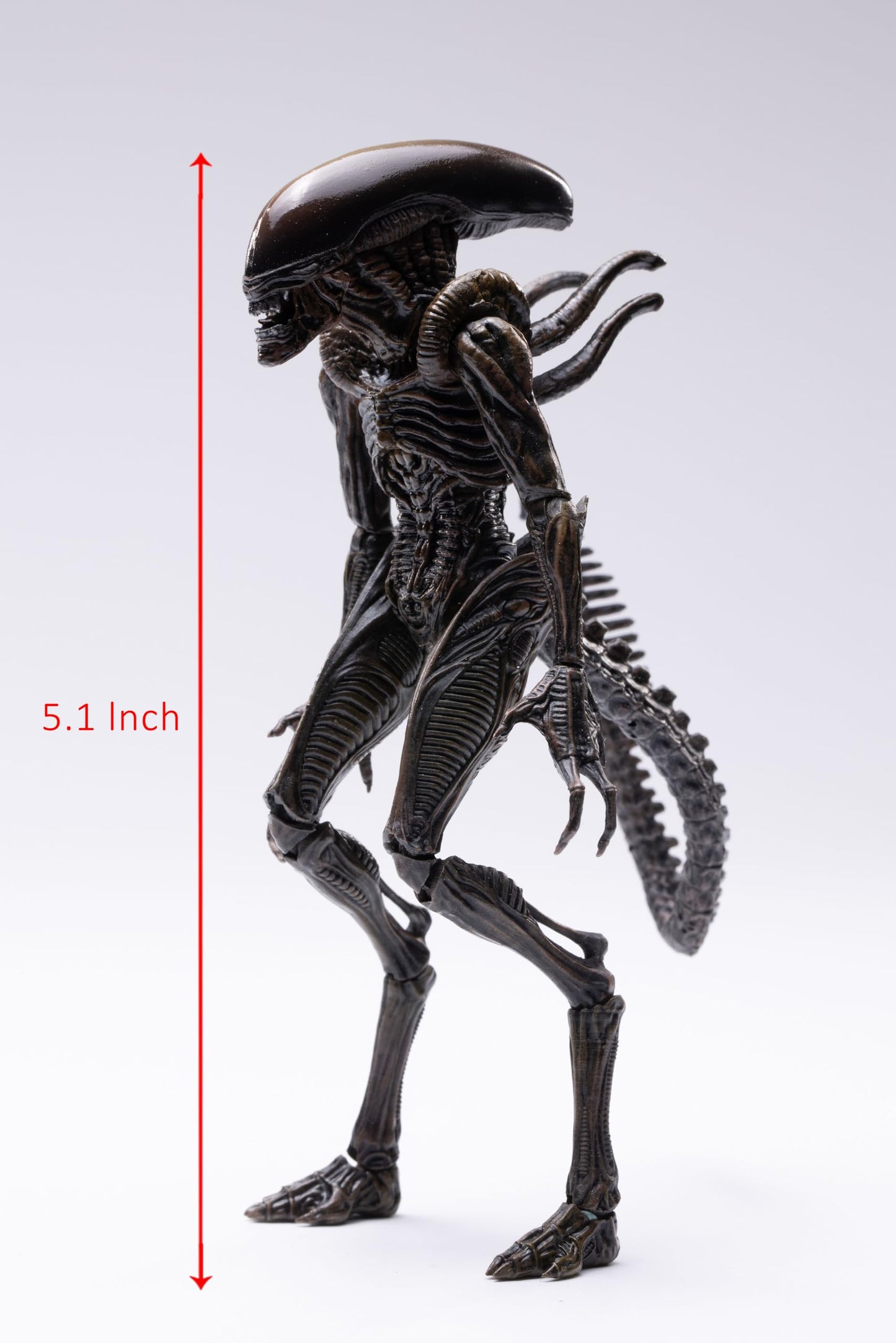 arbenmao Hiya Toys Exquisite Mini Series 1/18 Resurrection Lead Alien Warrior Action Figure