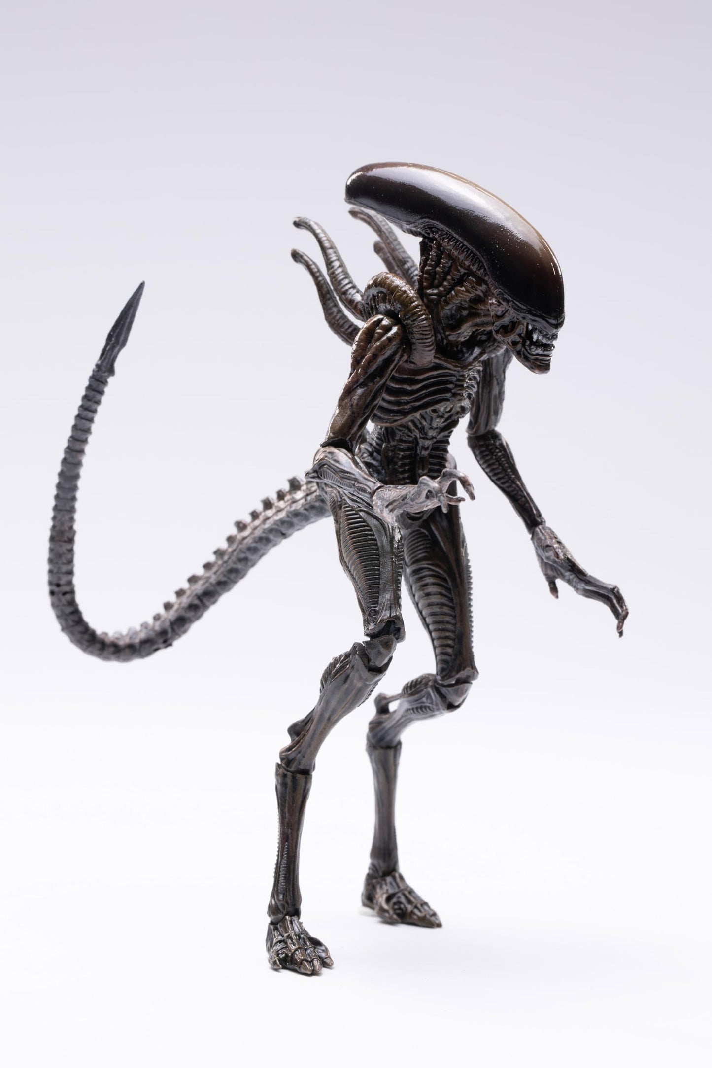 arbenmao Hiya Toys Exquisite Mini Series 1/18 Resurrection Lead Alien Warrior Action Figure