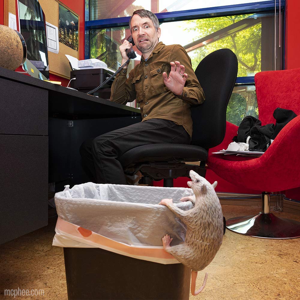 Archie McPhee Office Possum 15-inch Bendable Latex Office Companion