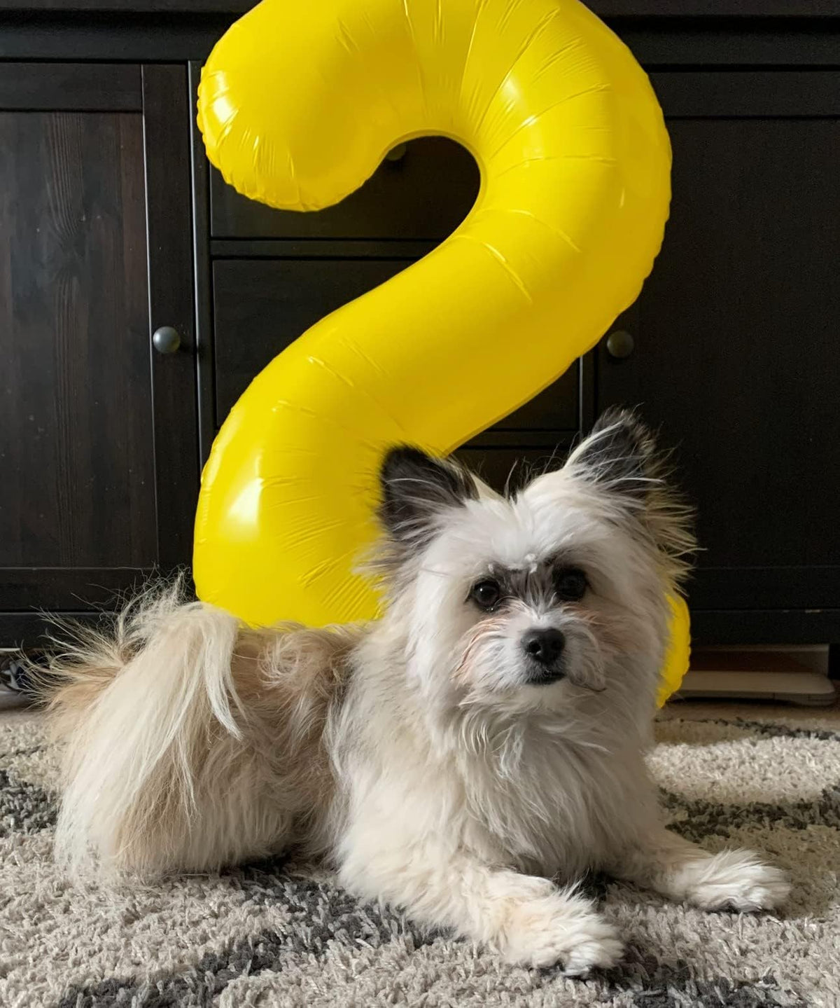 Argthjy 40-Inch Yellow Number 4 Balloon (Set of 4) for Birthday Party Decor