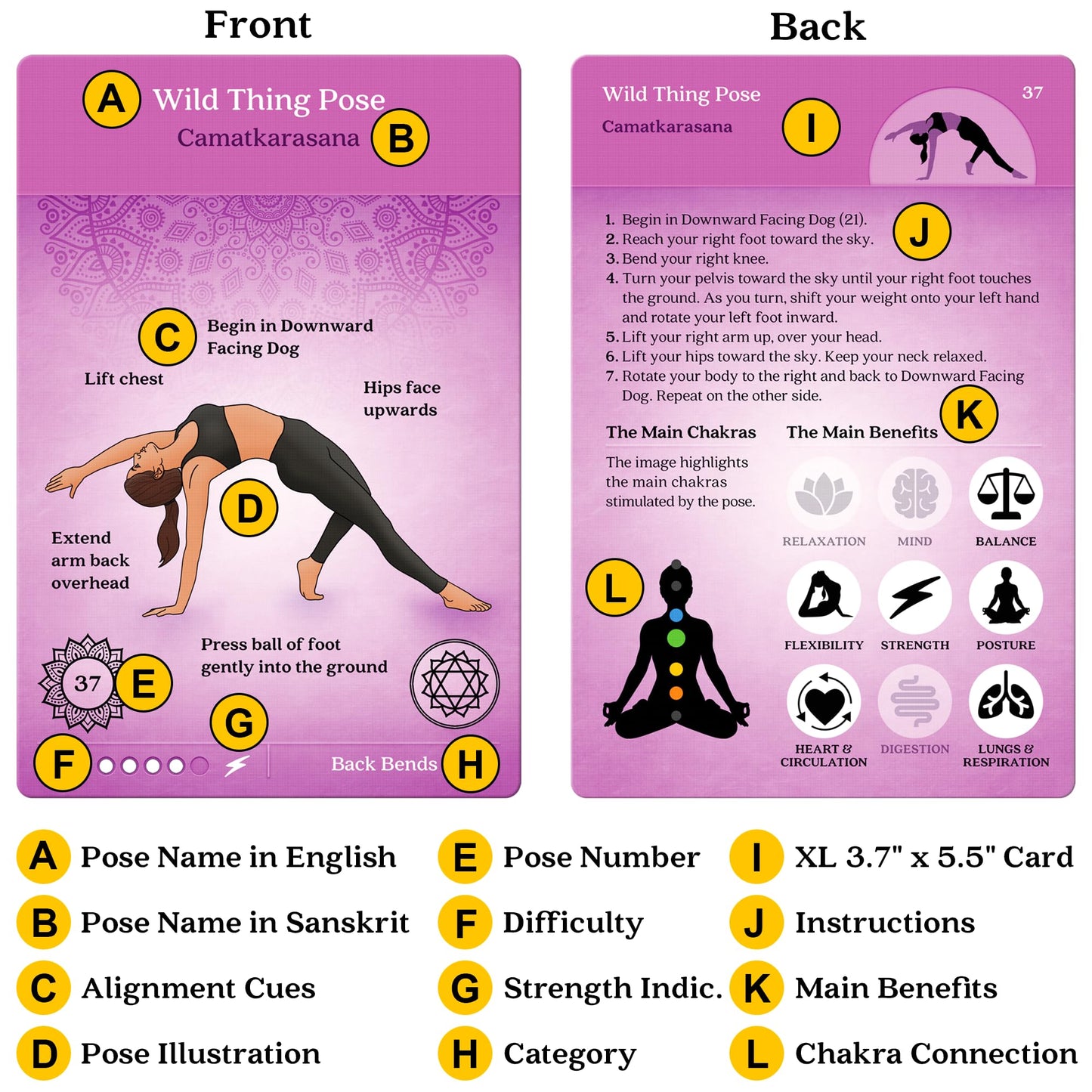 Asana Moon Premium Yoga Cards – 120+ Poses, 108 Sequences, Sanskrit Names & Cues