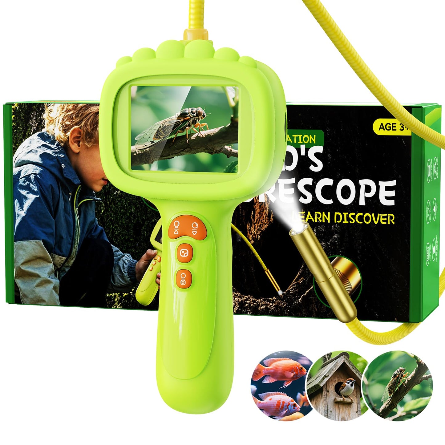 Ashfly Borescope Snake Camera with Light for Kids – 2.4-inch HD Screen, 1m Cable, IP67 Waterproof (Green)