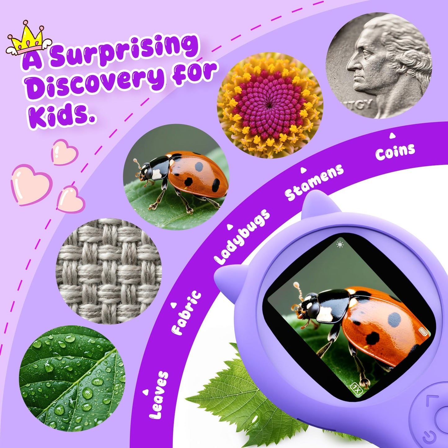 Ashfly Kids Microscope (Purple) - Mini Pocket Digital Microscope for Ages 5-12, 2-Inch Screen, 500x Autofocus, STEM Toy
