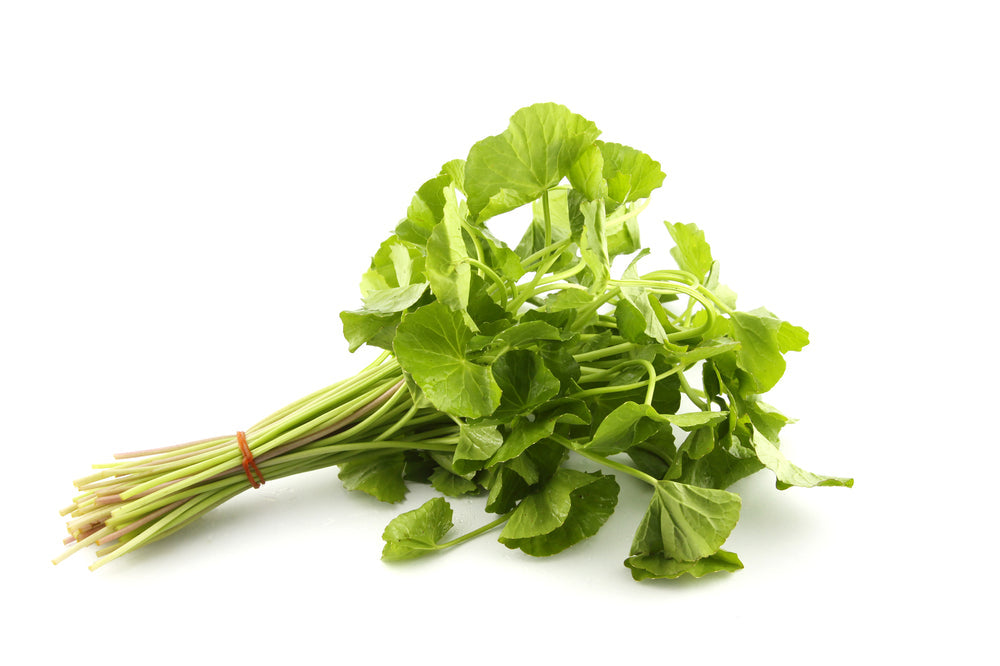 Fresh Asatic Pennywort 100g