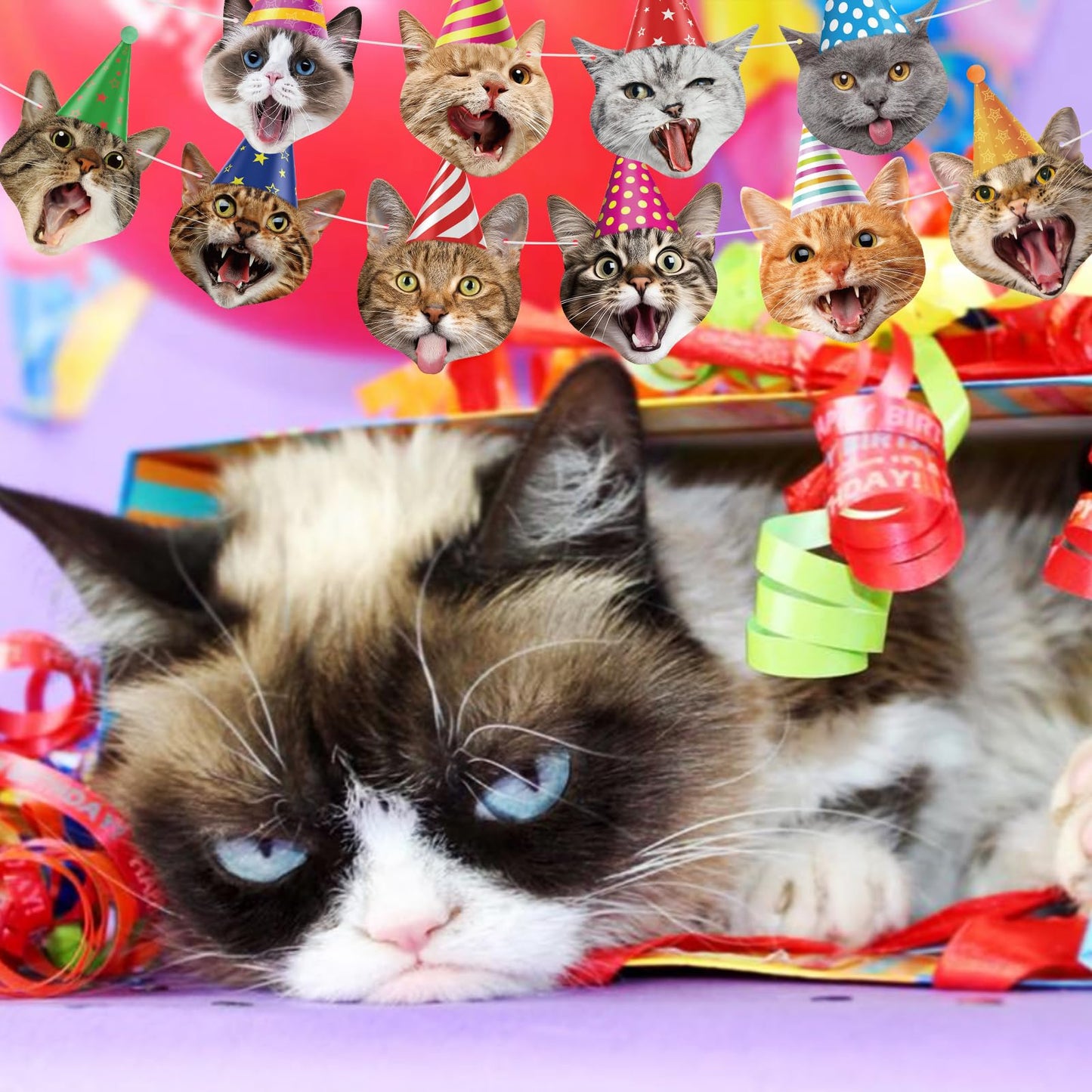 Atiloy Cat Face Birthday Banner Garland – Cute Cat Theme Party Decor for Kids