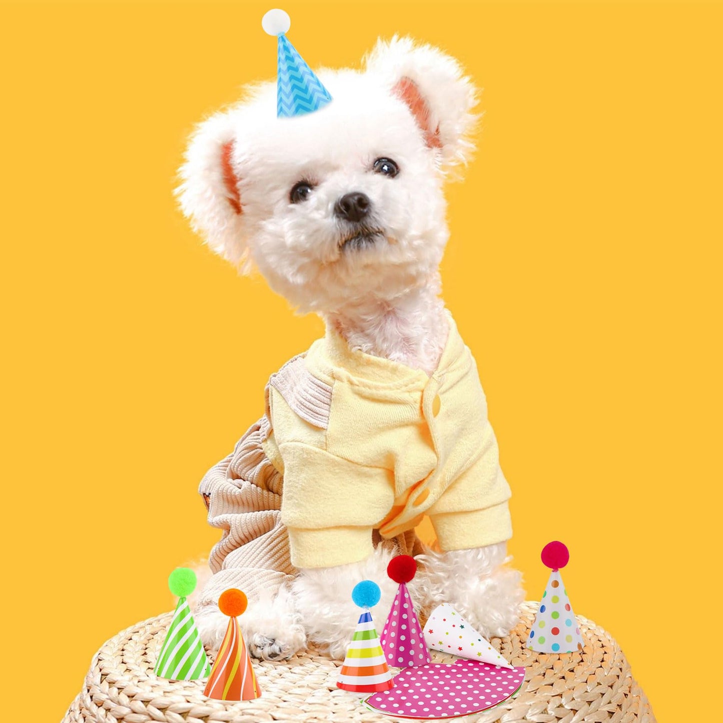 Atiloy 10-Pcs Colorful Mini Party Hats for Stuffed Animals, Pets & Baby