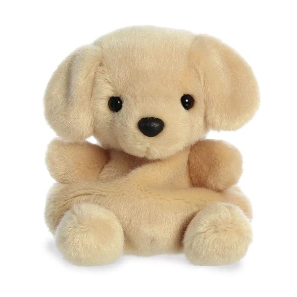Aurora Palm Pals Set of Two — Meow Kitty & Sunny Lab Plush