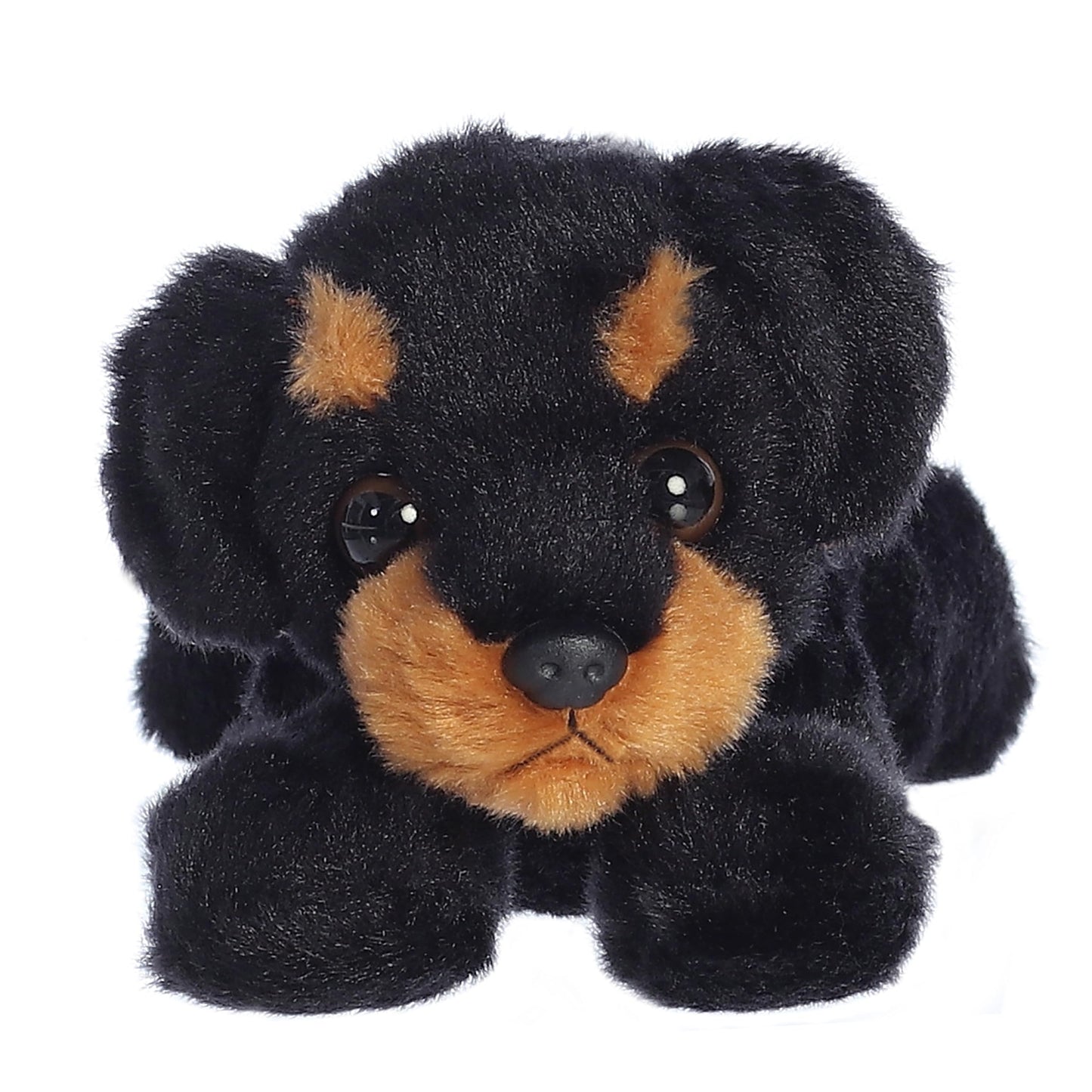 Aurora Raina Mini Flopsie Rottweiler Plush — 8.5-Inch Black Stuffed Animal