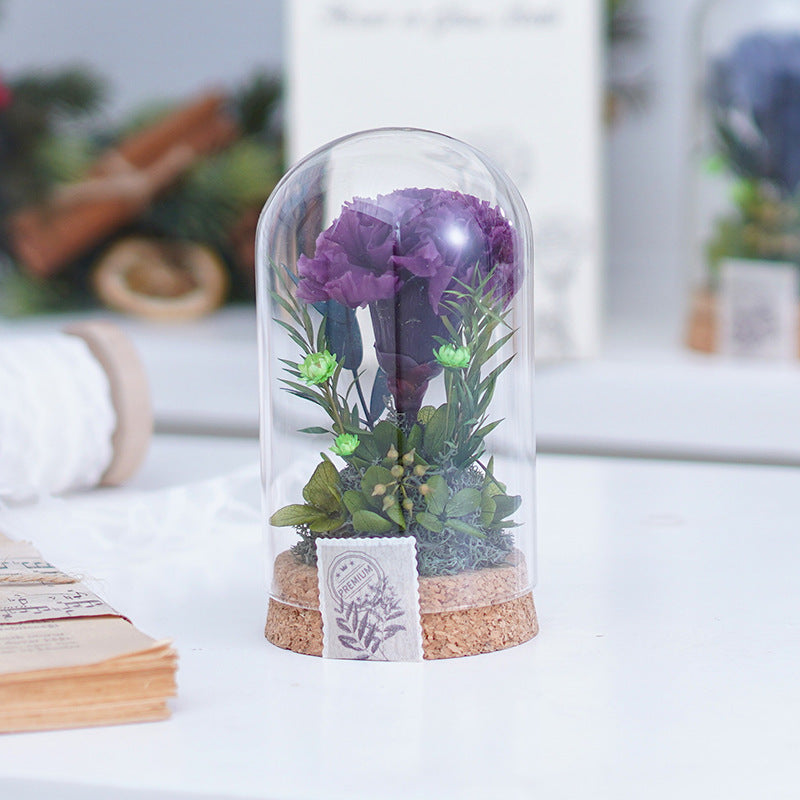 Mother's Day Gift Carnation Wishing Bottle Dandelion Preserved Fresh Flower Material Package