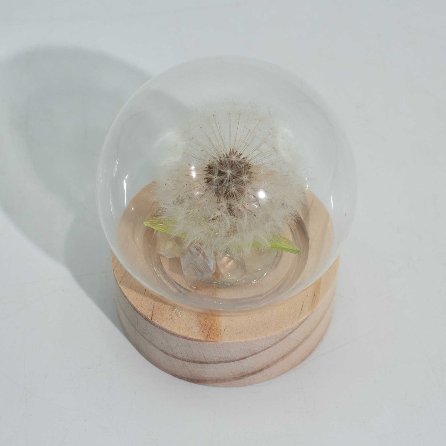 Floral Glow Garden Dome - 1 Dandilion- LED Battery