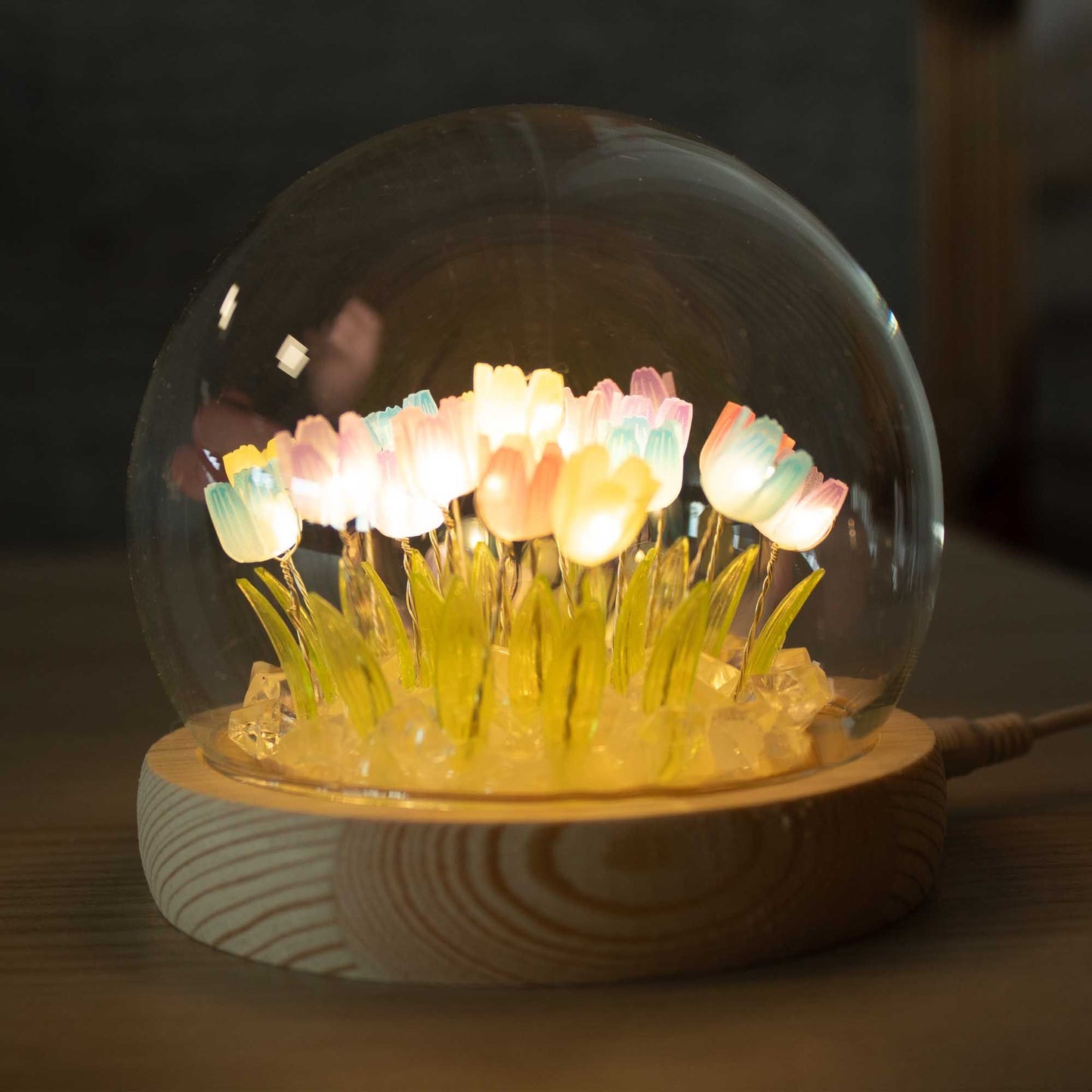 Floral Glow Garden Dome - 20 Multi Tulips - LED USB