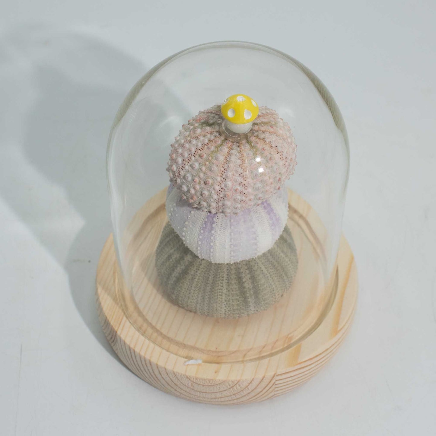 Floral Glow Garden Dome - 3 Sea Urchins - LED USB