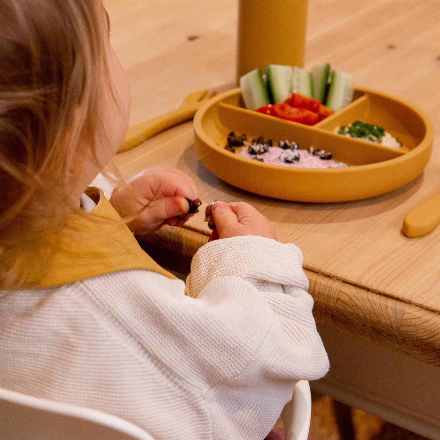 Silicone Divided Baby Suction Plate